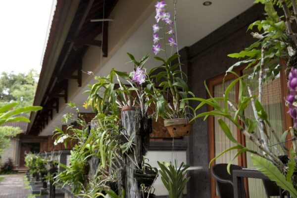 gallery jepun bali hotel (10)