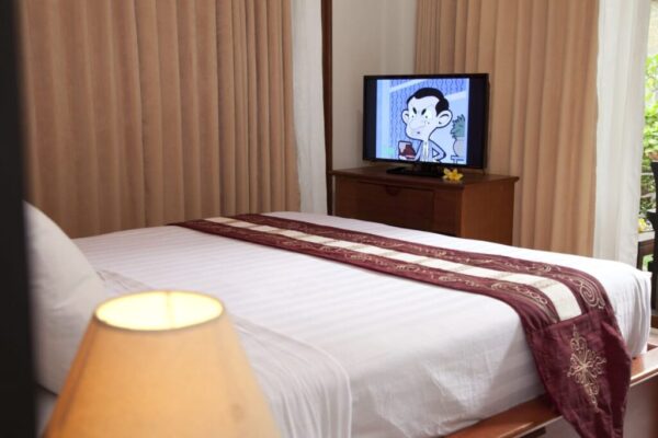standard room (1)